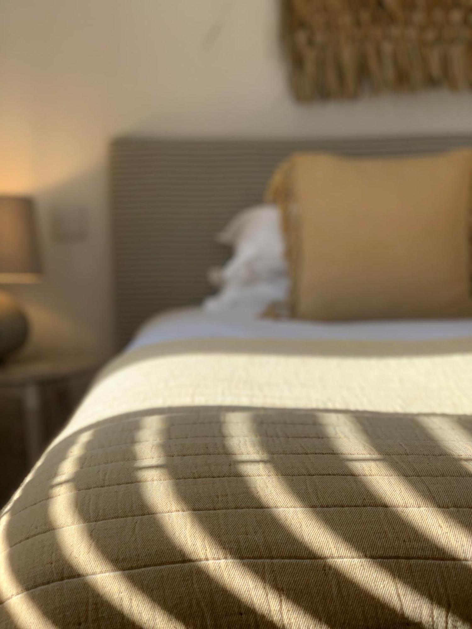 Large Suite 4